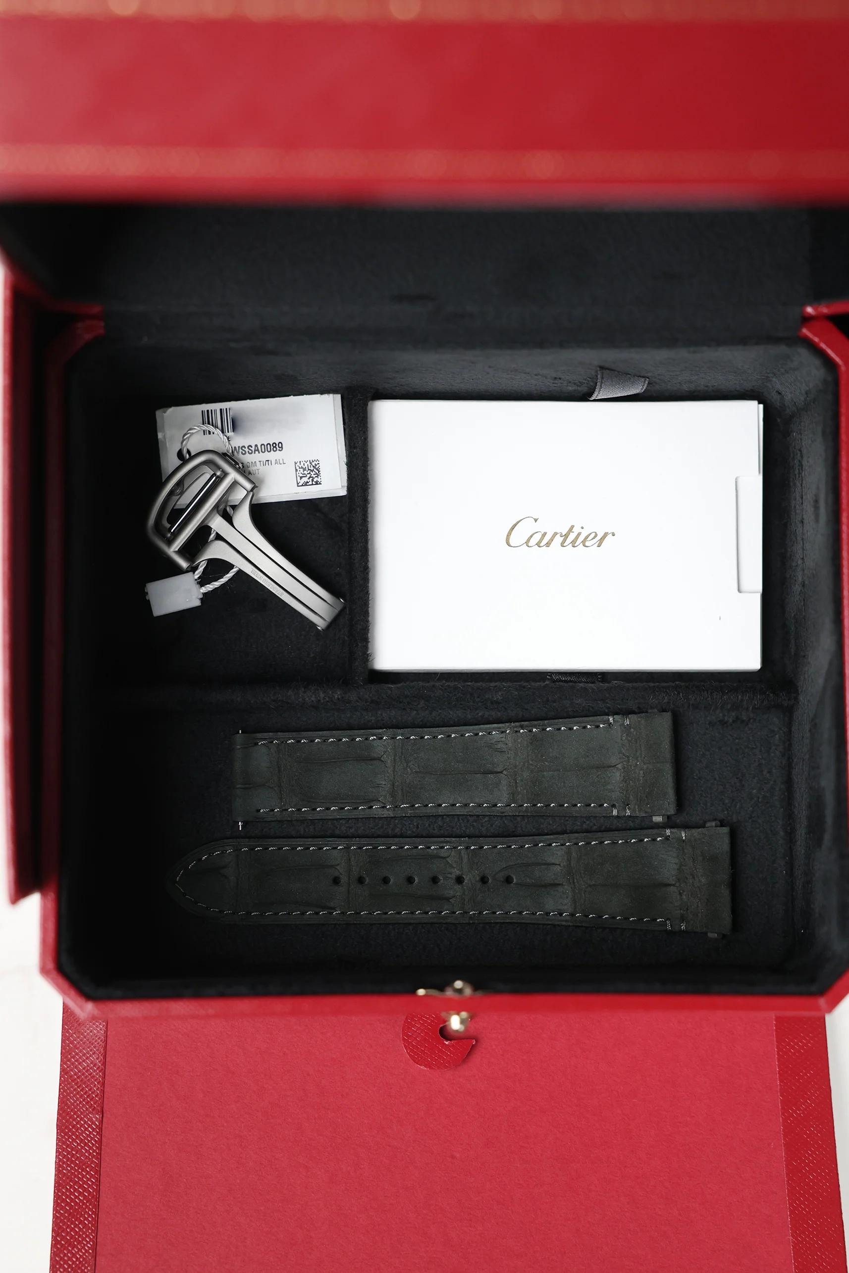 Cartier Santos de Cartier Large Titanium WSSA0089 - Image 16