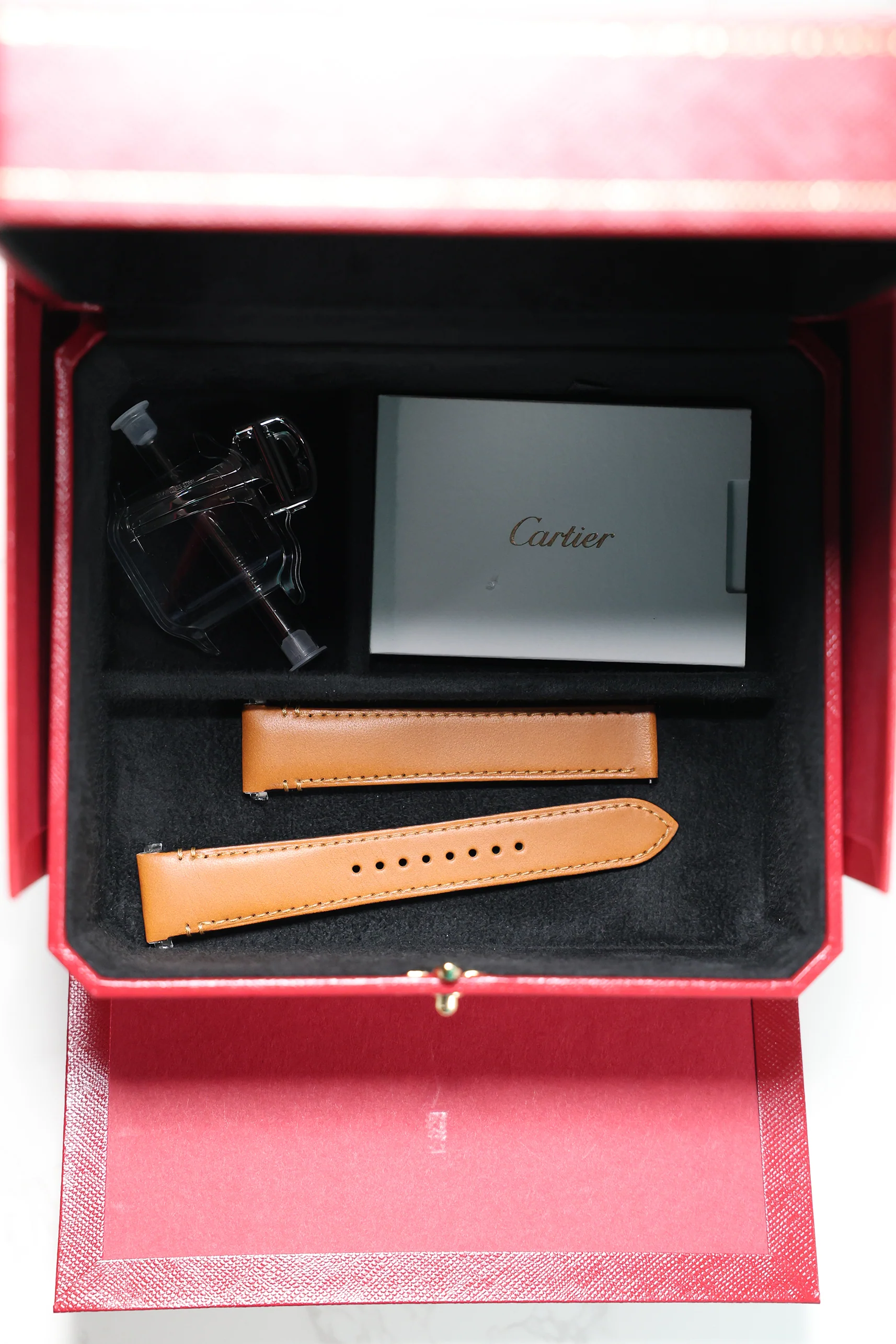 Cartier Santos de Cartier Medium WSSA0029 - Image 15