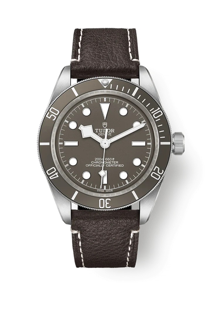 Tudor Black Bay 58 Silver 925 - 39mm 79010SG 2024 [Preowned]