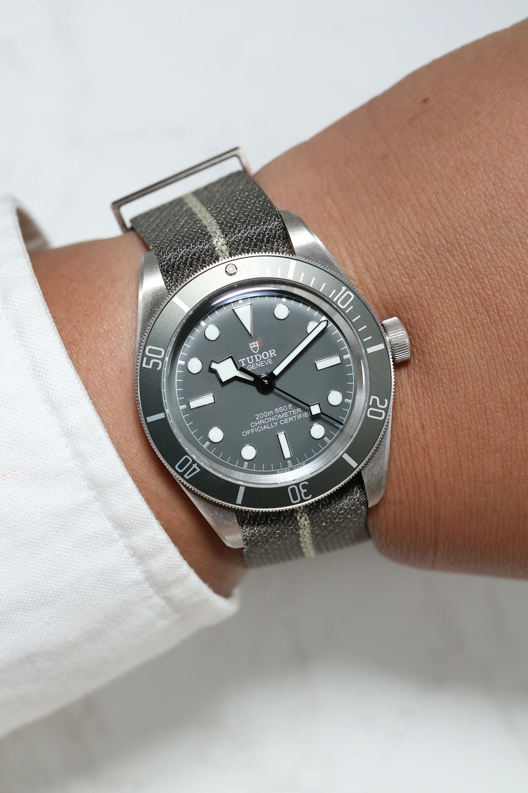 Tudor Black Bay 58 Silver 925 - 39mm 79010SG - Image 6
